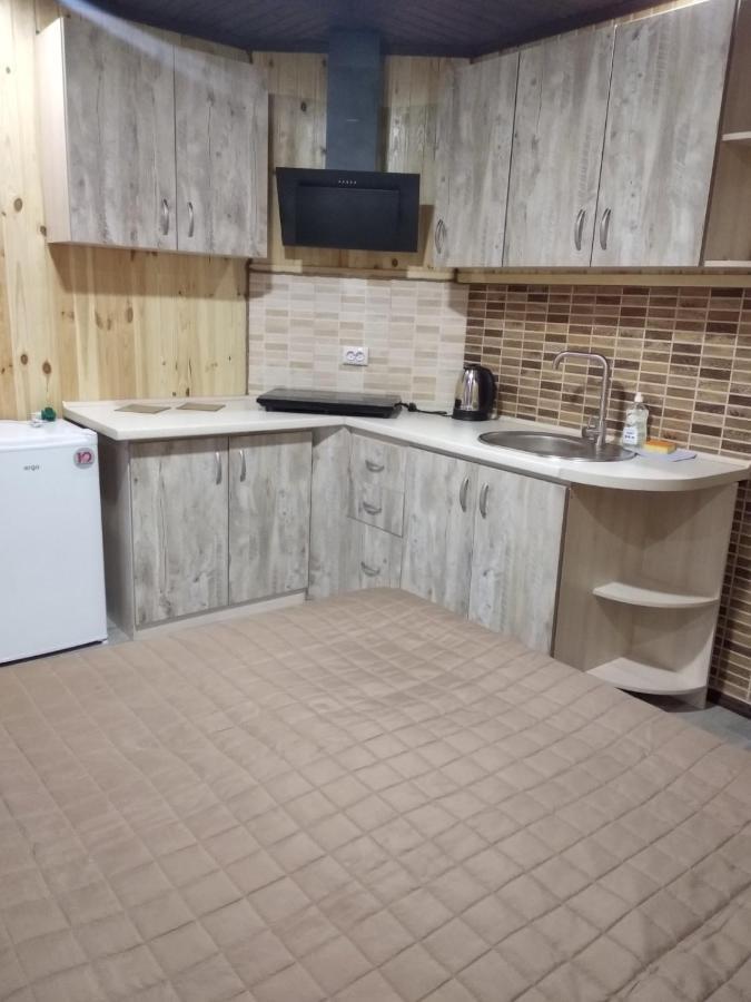 ホテルNikol スヴィチャス エクステリア 写真